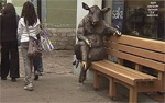 На улице Виру "поселилась" корова