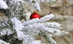 С Новым годом!