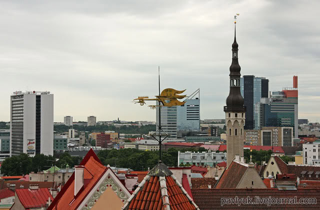 Вид на Таллин со смотровой площадки Верхнего города