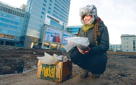 Магистрант Таллиннского университета Аннели Калм демонстрирует находки, обнаруженные в ходе раскопок на земельном участке, принадлежащем Художественной академии. Находки предстоит очистить, пронумеровать и занести в отчеты. foto: Михкель Марипуу